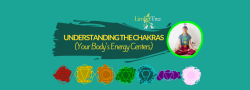 Understanding the Chakras Workshop