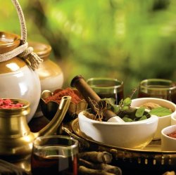 Ayurveda - Optimal Well-being through the Ancient Science of Life