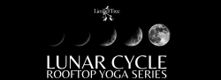 Rooftop - Lunar Cycle Yoga Series