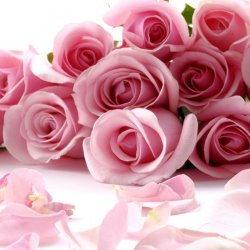 Divine Love