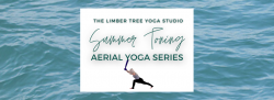 Summer Toning Aerial Yoga Series