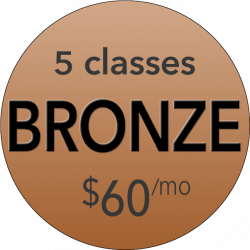 Bronze Membership