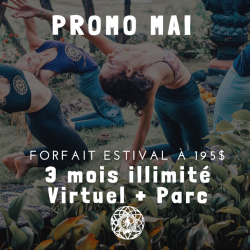 Forfait estival | Summer package