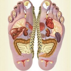 REFLEXOLOGY SINGE SESSION