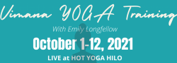 Vimana Yoga Teacher Training