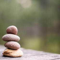 Drop in for Meditation