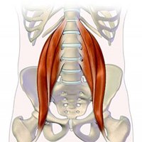 Psoas and Hips GYROTONIC® Class Psoas and Hips GYROTONIC® Class