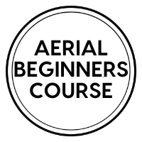 Aerial Beginners Course
