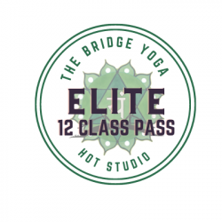 The BRIDGE HOT ELITE