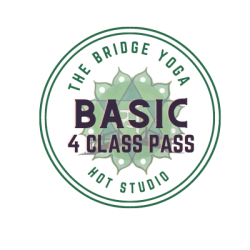 The BRIDGE HOT BASIC