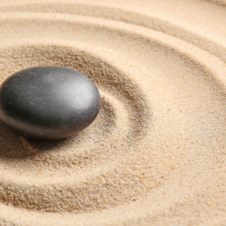 Mindfulness Group: 1 Session (45-min)