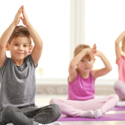 Youth Diverse Ability: 3 Sessions (30-min)
