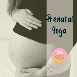 Prenatal Wellness Series (Summer 2021 Package)