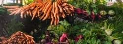 Swastha Circle : Cultivating Ojas (Vitality) through Community, Connection and Ayurveda.
