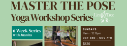 Master The Pose - Yoga Workshop Series