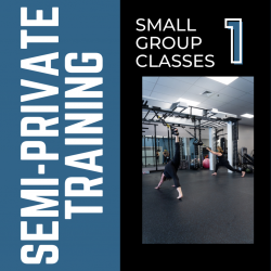 1 Semi-Private Training Pass