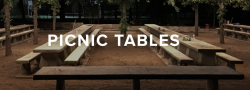 Austin Member Lunch- Oct 29