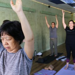 Beginners Yoga on line Course