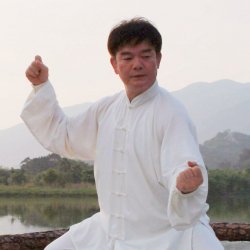 Chen/Cannon Fist Advance