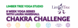Chakra Challenge - 8 Week Series