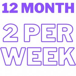 12 MONTHS - 2 PER WEEK