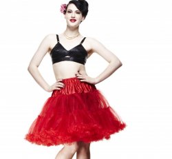 Ladies Petticoat