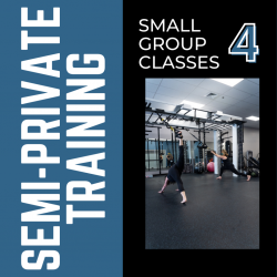 4 Semi-Private Training Passes