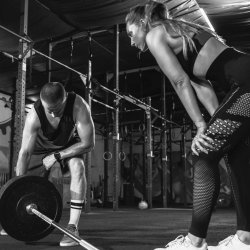 8 Session Monthly Group Training