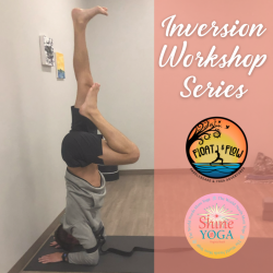 Inversion Workshop - Individual Class