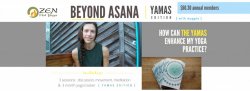 Beyond Asana: Yamas Edition (North)