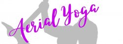 2021 Aerial Yoga Teacher Training