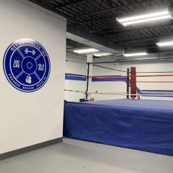 Unlimited Boxing Classes