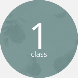 1 Adult I Drop-In