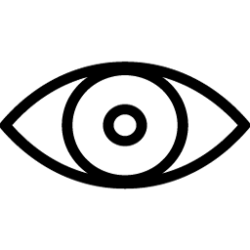 Pre-recorded Videos