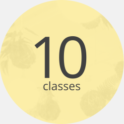 10 Adult I Class Pack
