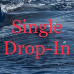 Single Drop In