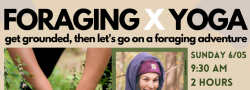 Foraging Tour & Yoga: get grounded, then harvest wild edible plants (June)