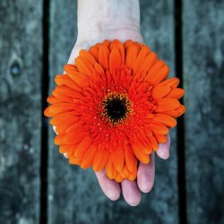 'Transform' Wellness Membership