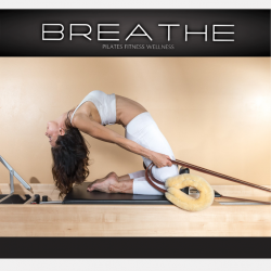 Platinum GROUP Membership: ANNUAL 1x/ Week Group REFORMER  - Platinum