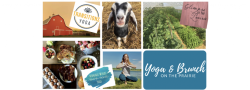 Yoga and Brunch on the Prairie