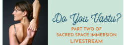 Do You Vastu?: LIVESTREAM