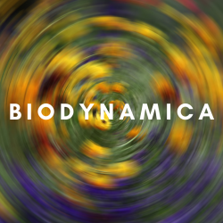 BIODYNAMICA: 1 ,2, 3