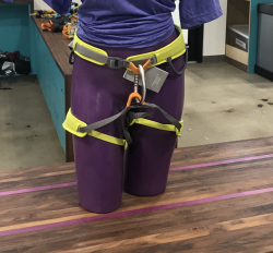 Prism Harness