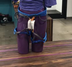 Prism Harness