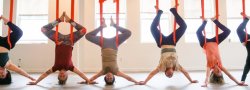 Aerial Level 1 Yoga Training