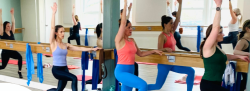 Summer Barre Teacher Training