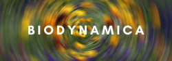 BIODYNAMICA: Journeys to the Self