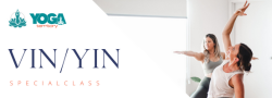VIN/YIN