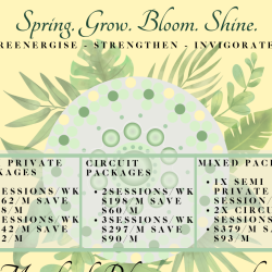 Spring 22 Semi Private 3 Sessions (Package 2)