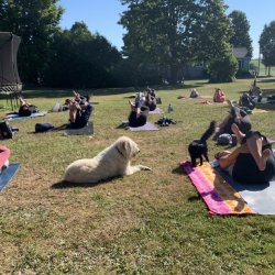 Outside Yoga Class - Drop In